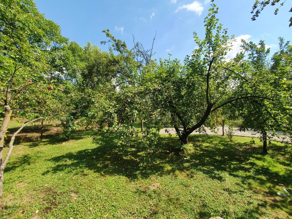 Tetmajera View & Garden Villa Debica  Exterior photo